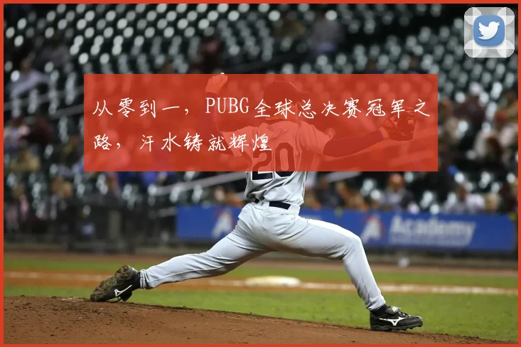从零到一,PUBG全球总决赛冠军之路,汗水铸就辉煌