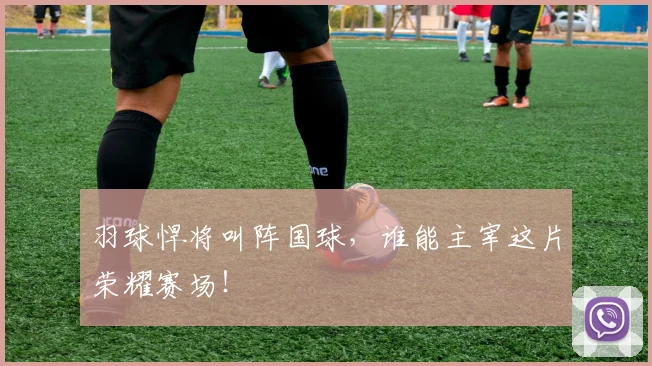 羽球悍将叫阵国球,谁能主宰这片荣耀赛场!