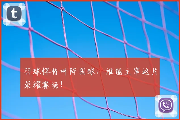 羽球悍将叫阵国球,谁能主宰这片荣耀赛场!
