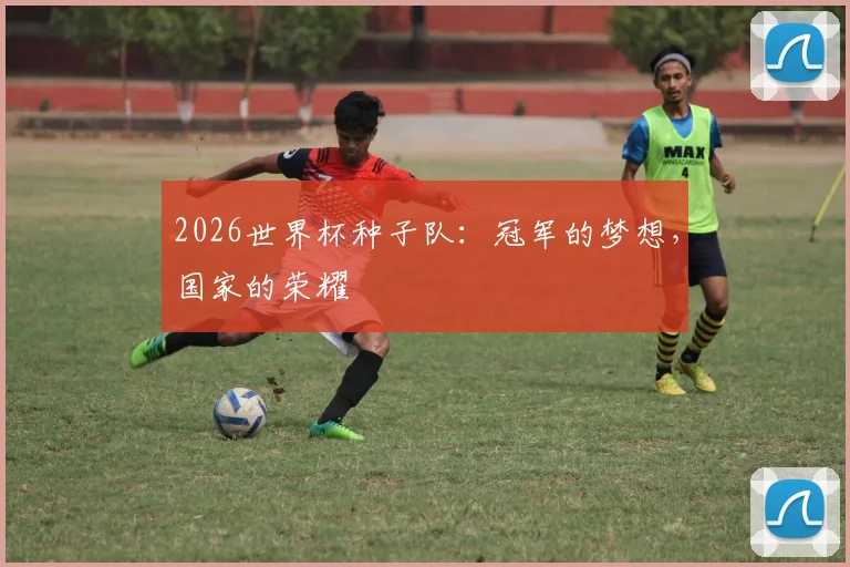 2026世界杯种子队：冠军的梦想，国家的荣耀