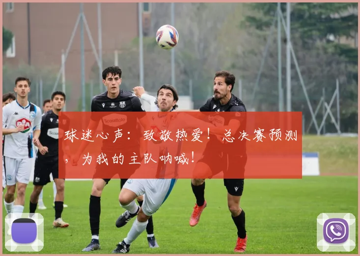 球迷心声:致敬热爱!总决赛预测,为我的主队呐喊!