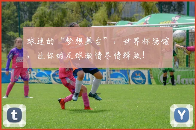 球迷的“梦想舞台”,世界杯场馆,让你的足球激情尽情释放!